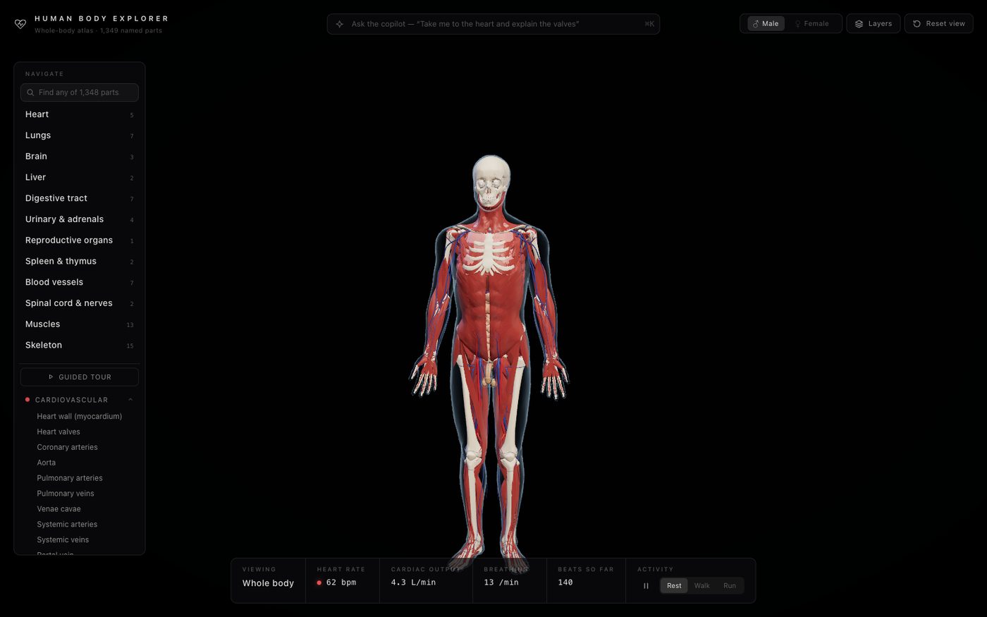 Human Body Explorer