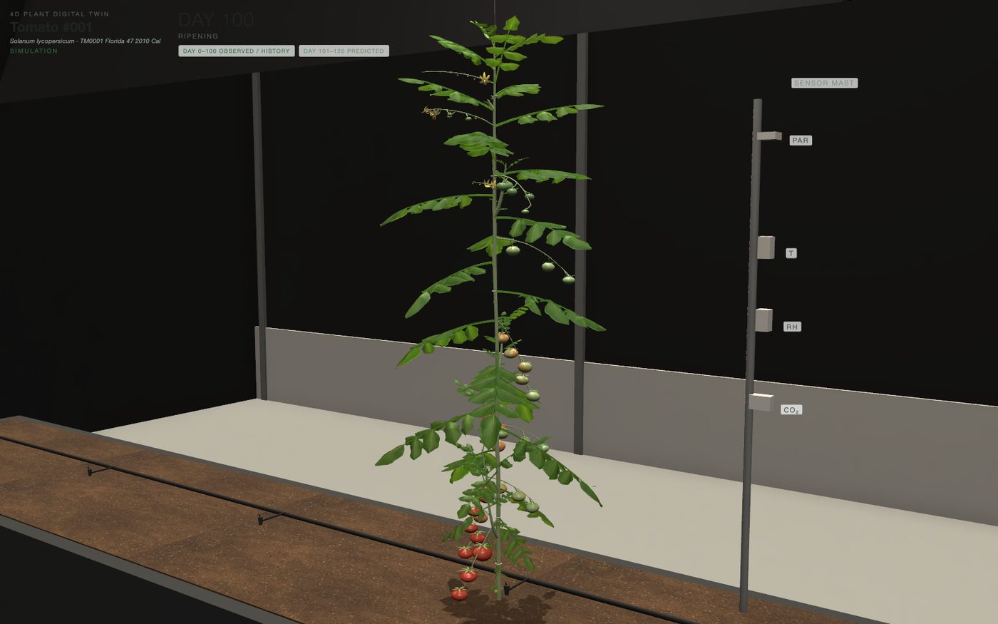 4D Plant Digital Twin